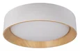 10202 White Потолочные светильники LOFT IT Coin