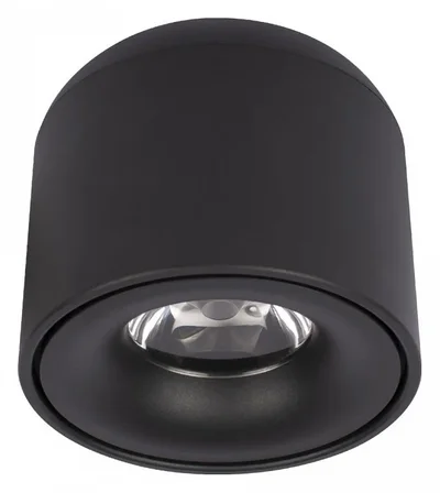 10219 Black 3000K Потолочный светильник LOFT IT Tictac
