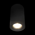 10220 Black 3000K Потолочный светильник LOFT IT Tictac