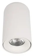 10220 White 4000K Потолочный светильник LOFT IT Tictac