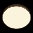 10228/A Потолочный светильник LOFT IT Flims