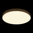 10228/B Потолочный светильник LOFT IT Flims