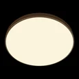 10228/B Потолочный светильник LOFT IT Flims