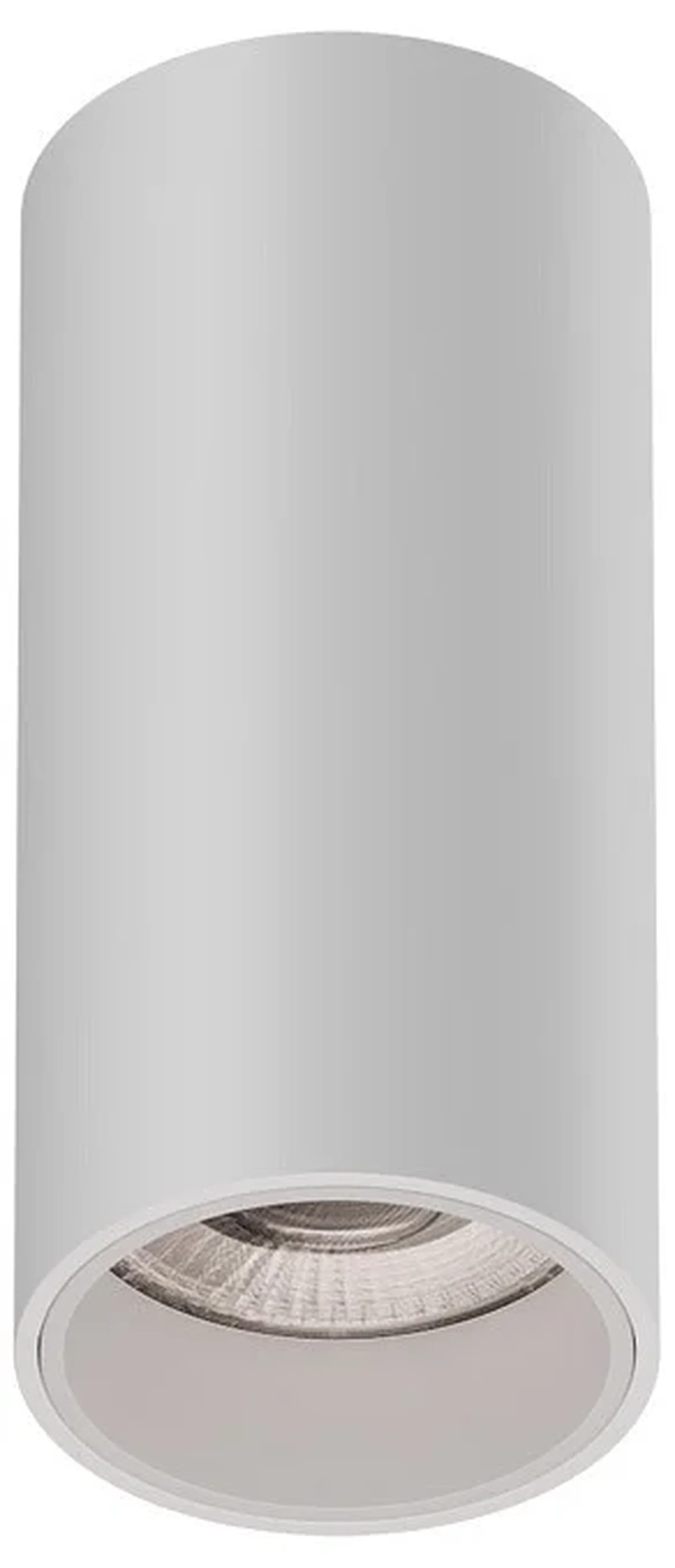 Накладной светильник Trunk (RAL9003/D55 — GU10)