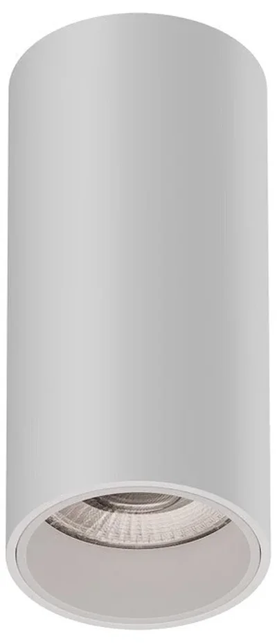 Накладной светильник Trunk (RAL9003/D55 — GU10)