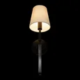 10308W Black Настенный светильник LOFT IT Cosy