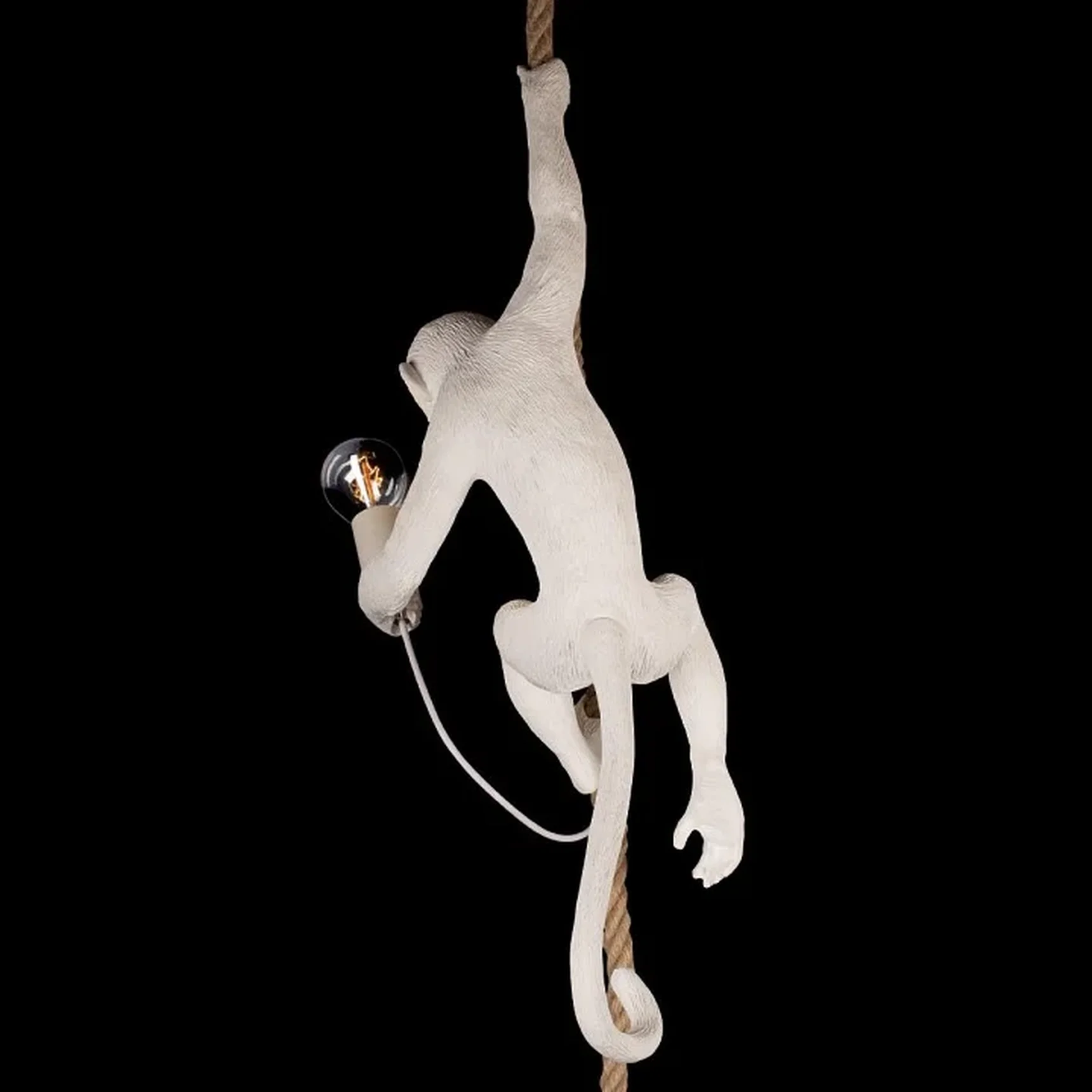 10314P Подвесной светильник LOFT IT Monkey