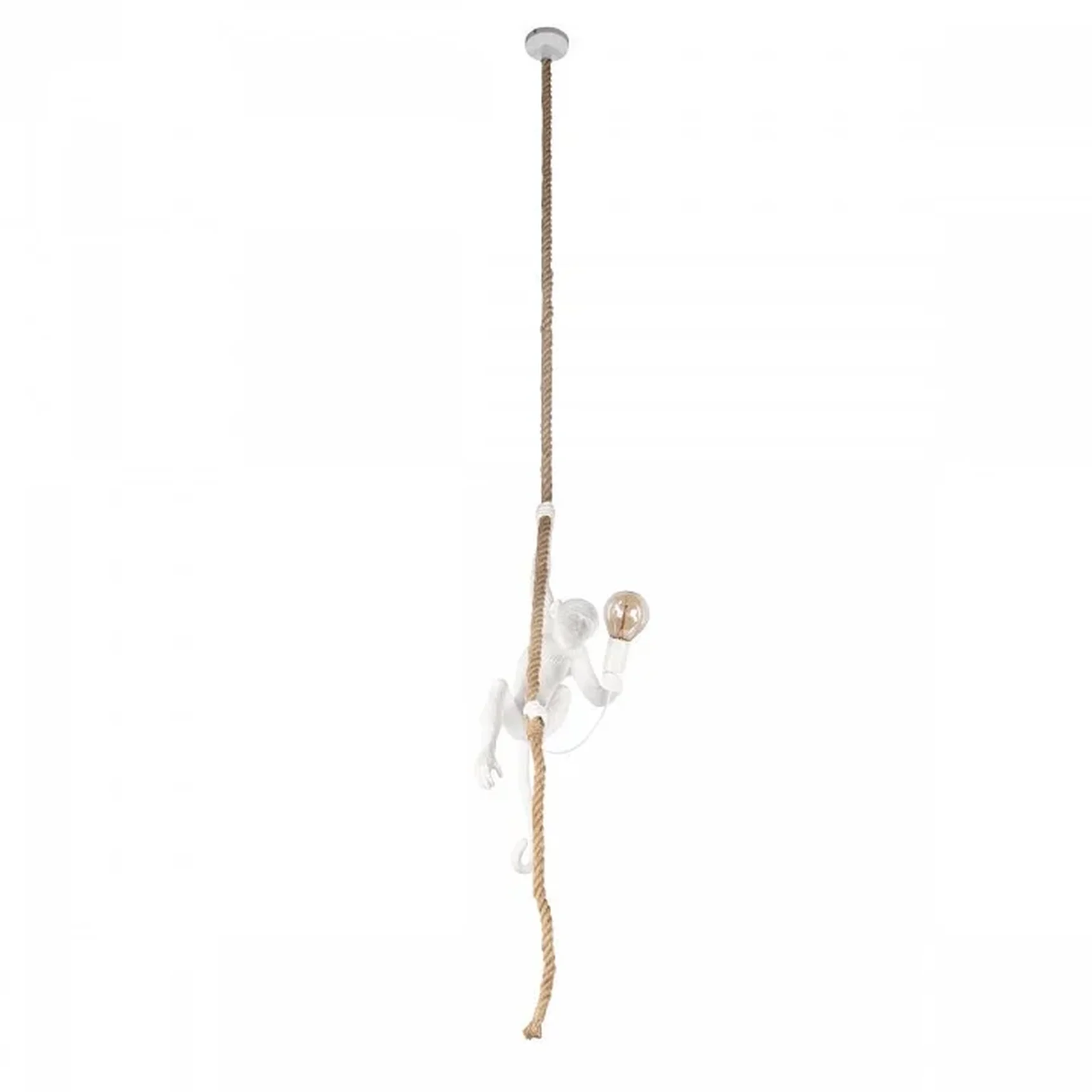 10314P Подвесной светильник LOFT IT Monkey