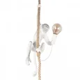 10314P Подвесной светильник LOFT IT Monkey