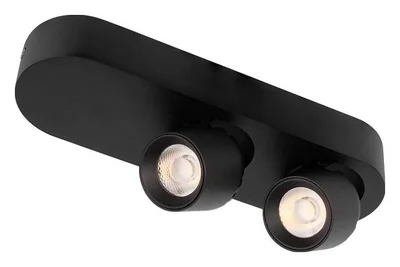 10320/2 Black Накладной светильник LOFT IT Quiet