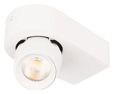 10320 White Накладной светильник LOFT IT Quiet