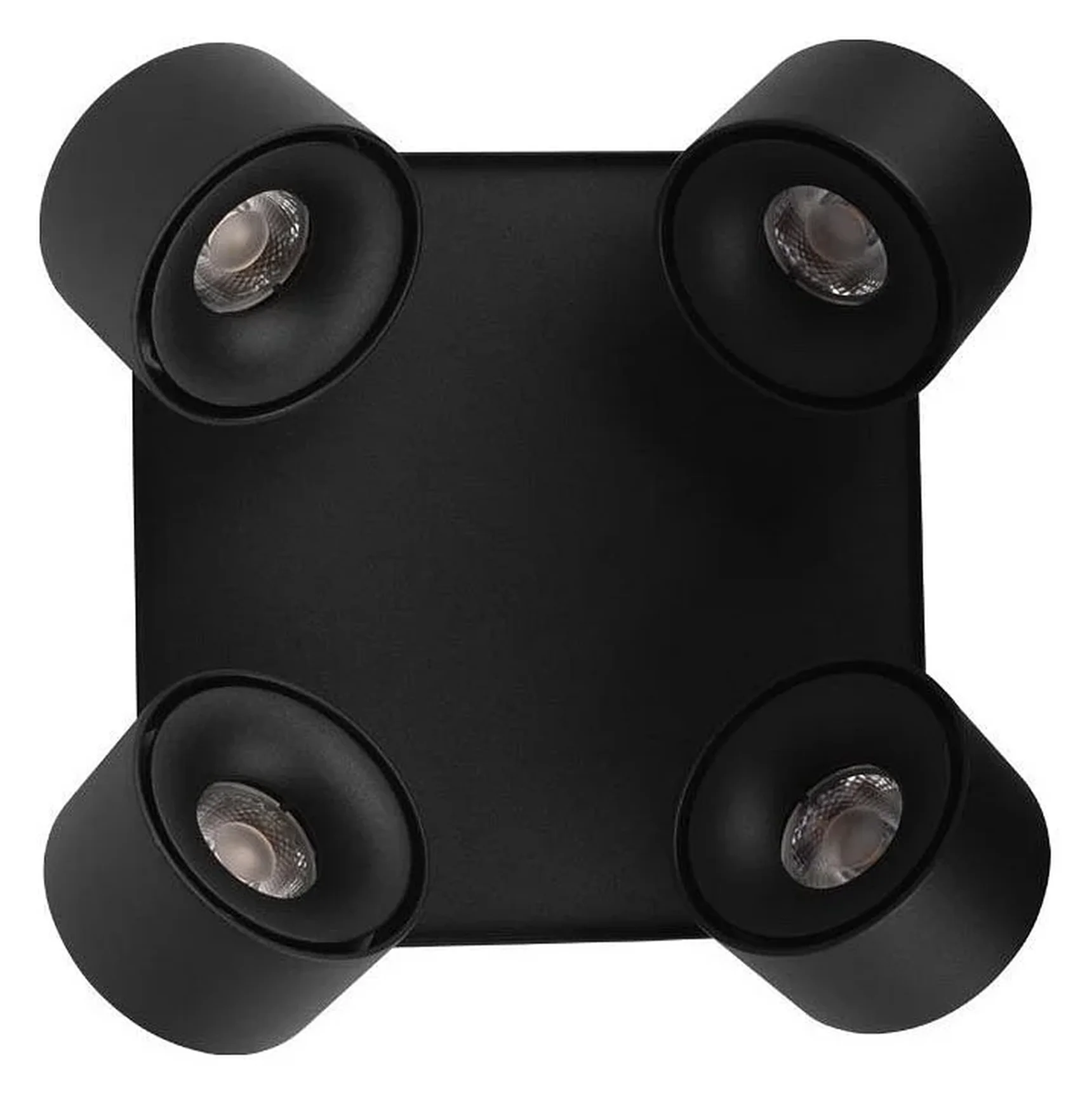 10326 Black Накладной светильник LOFT IT Case