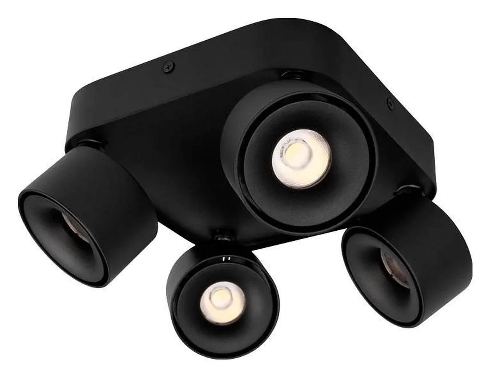 10326 Black Накладной светильник LOFT IT Case