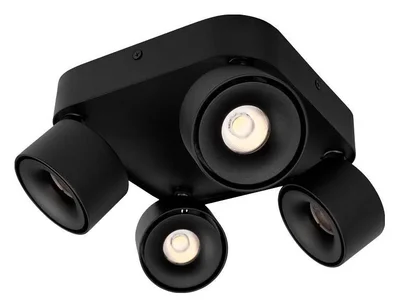 10326 Black Накладной светильник LOFT IT Case