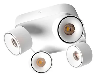 10326 White Накладной светильник LOFT IT Case