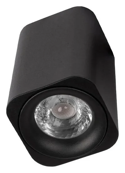10329 Black Накладной светильник LOFT IT Cup