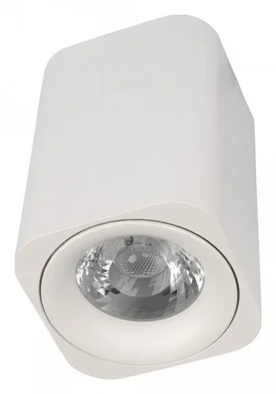 10329 White Накладной светильник LOFT IT Cup