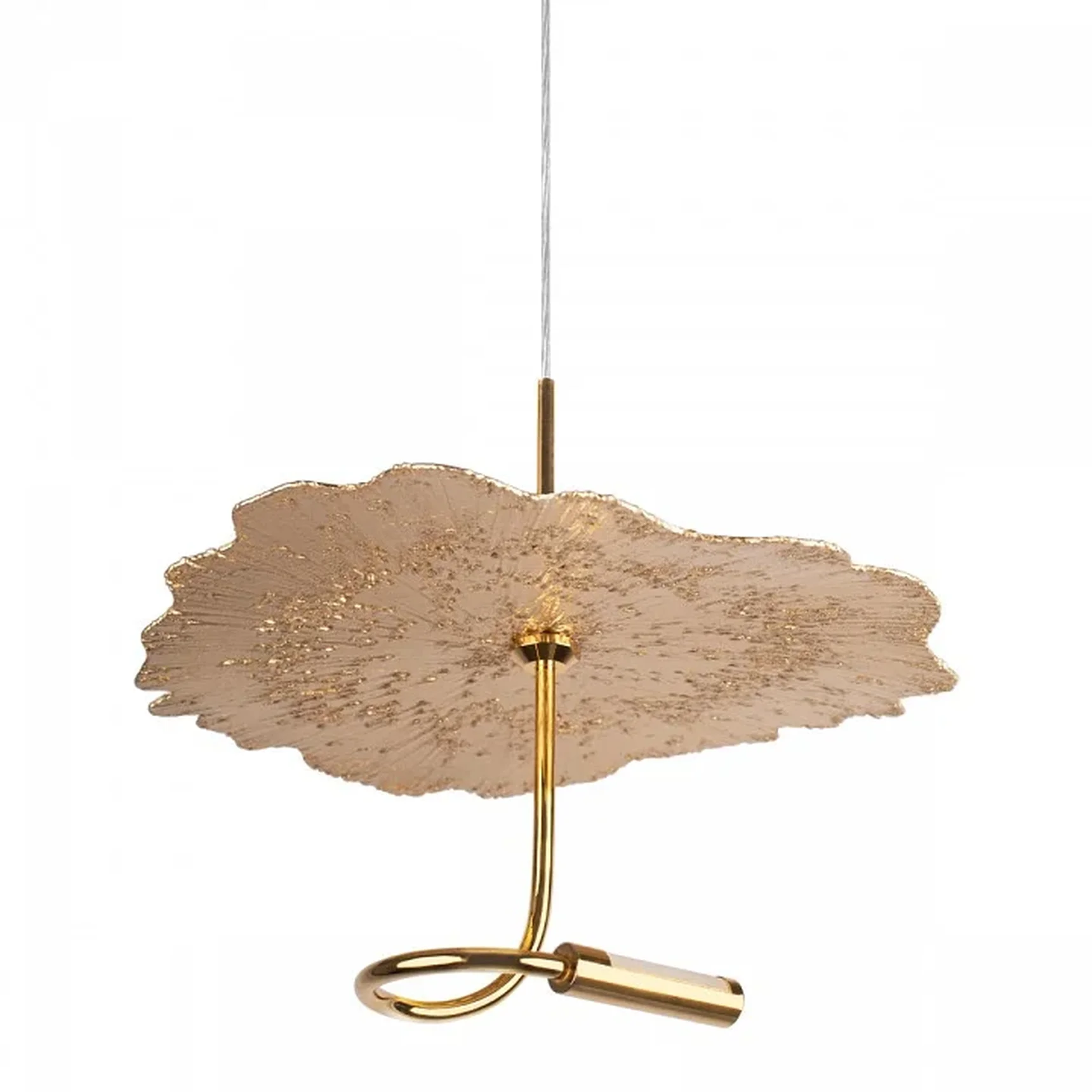 10395 Подвесной светильник LOFT IT Aronos
