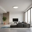10454/400 White Потолочный светильник LOFT IT Sweety