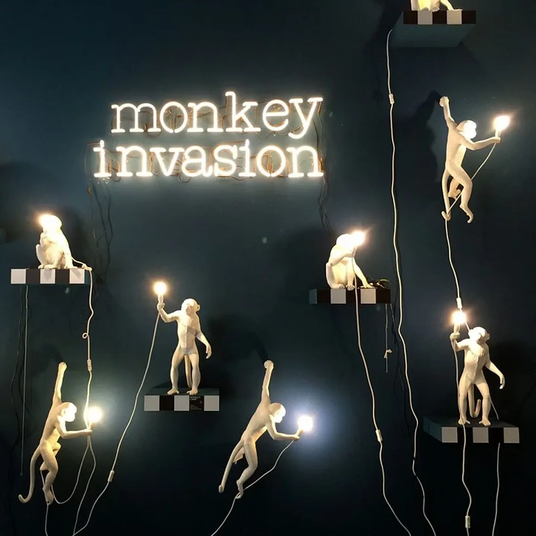 Подвесной светильник Monkey Lamp 14923