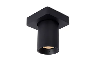 Спот Lucide Nigel 09929/05/30