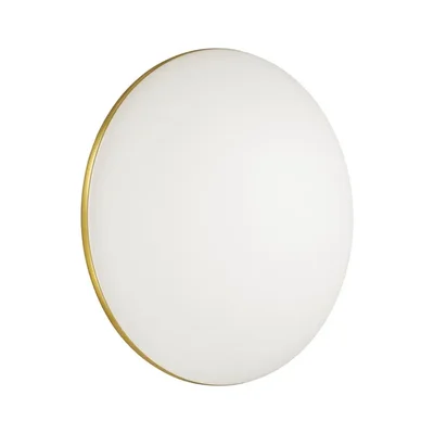 Настенно-потолочный светодиодный светильник Sonex Lassa 3043/EL