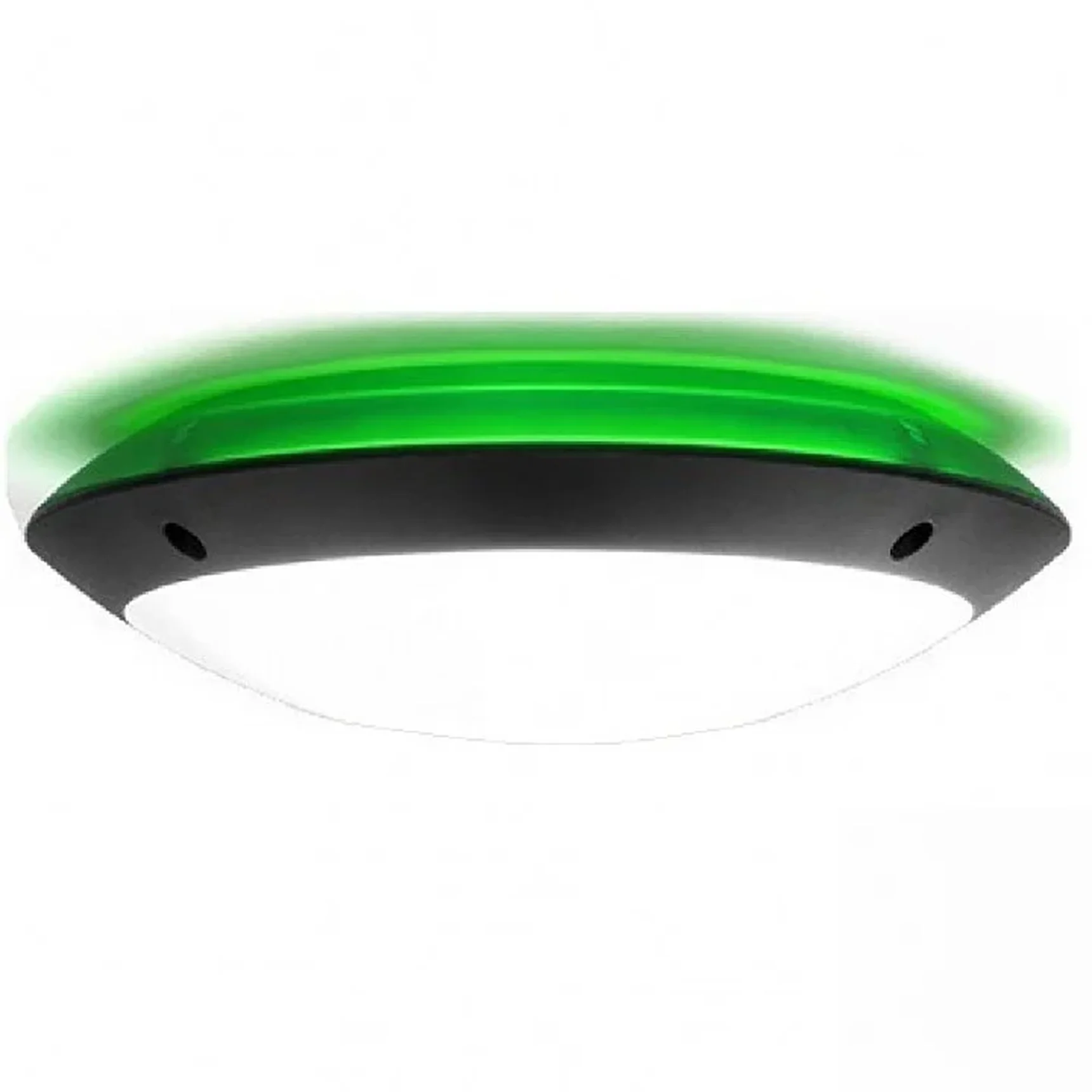 Уличное бра FUMAGALLI LUCIA BACKLIT 1R3.000.000.AYE27GN1