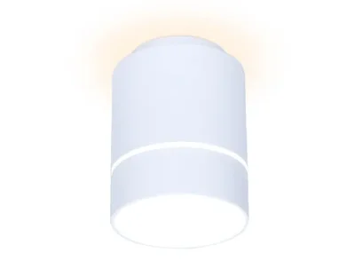 Потолочный светодиодный светильник Ambrella light Techno Spot TN255