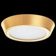 214934 Светильник URBANO LED 10W 1175LM ЗОЛОТО 4000K IP65