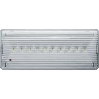 Аварийное освещение LED NEF-08 (IP54)