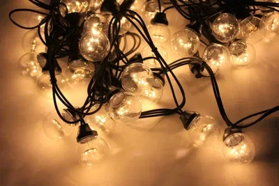 LED-2BLR-2835-20CM-10M-240V-WW/BL, Белт-лайт с лампами теплый белый/черный пр.