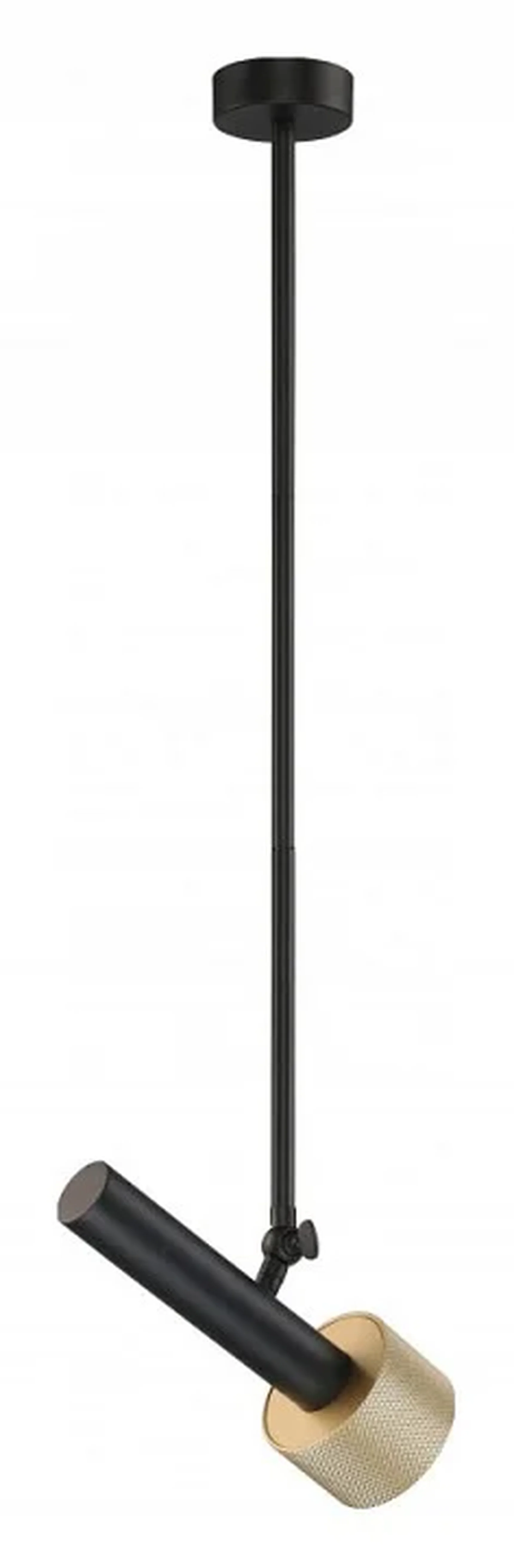 Светильник потолочный iLEDEX Delta 2361-1 BK+BR