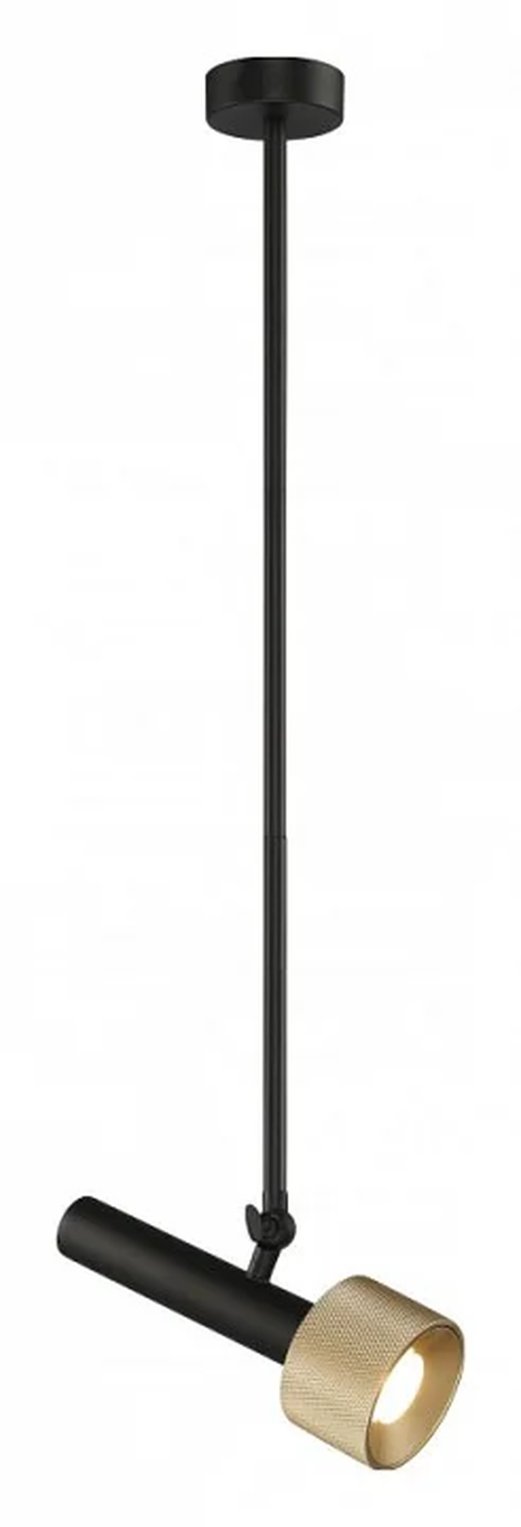 Светильник потолочный iLEDEX Delta 2361-1 BK+BR