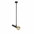 Светильник потолочный iLEDEX Delta 2361-1 BK+BR