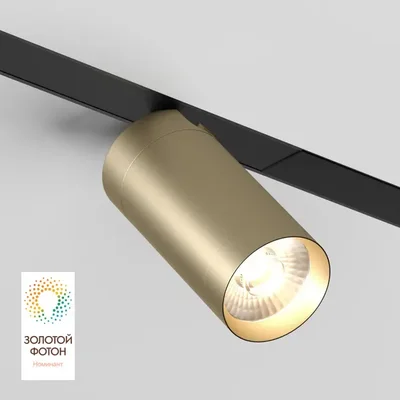 Трековый светильник Denkirs DK8020-BG