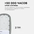 29-01 Светильник светодиодный, уличный, консольный 30Вт, 230/50Гц, 3300лм, 5000К, IP65, КСС Ш, 380*172*65мм, Ф50мм, серый