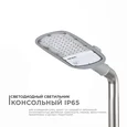 29-02 Светильник светодиодный, уличный, консольный 50Вт, 230/50Гц, 5500лм, 5000К, IP65, КСС Ш, 420*200*70мм, Ф50мм, серый