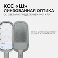 29-03 Светильник светодиодный, уличный, консольный 80Вт, 230/50Гц, 8800лм, 5000К, IP65, КСС Ш, 495*215*80мм, Ф60мм, серый