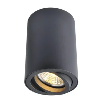 Светильник Arte Lamp SENTRY A1560PL-1BK