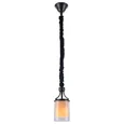 NEWPORT 35000 35001/S, Подвесной светильник, Black+gold Shade glass D13*H25 cm Е14 1*60W