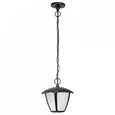 375070 (HL-6024) Светильник уличный подвесной LAMPIONE LED 8W 360LM 3000K IP54