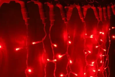 LED-XP-1925-1,5M-230V-С (красные светод/прозр. пр)