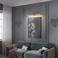 Подсветка для картины Monza 40156/LED