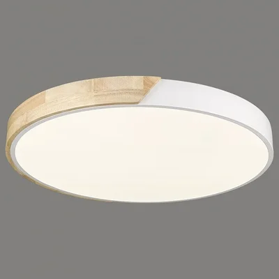Светильник потолочный 445-047-01
