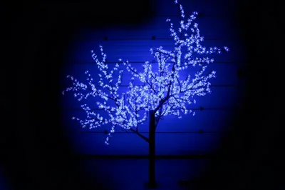 CBL-2.5-1728 LED вишня H:2,5m D2,0 м., синее