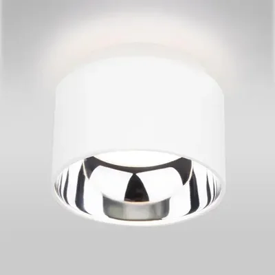 Потолочный светильник Elektrostandard 1069 GX53 WH белый матовый 4690389098512