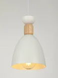 Светильник подвесной (подвес) Rivoli Catherine 5109-201 1хЕ27 60 Вт лофт-кантри
