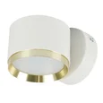 Светильник настенный Feron HL4598 Barrel DUET 12W, 230V,GX53, белый + золото IP20