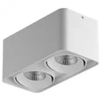 052126-IP65 Светильник MONOCCO LED 2х10W 1200LM 30G БЕЛЫЙ 4000K