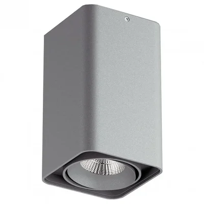 052139-IP65 Светильник MONOCCO LED10W 600LM 30G СЕРЫЙ 4000K (в комплекте)